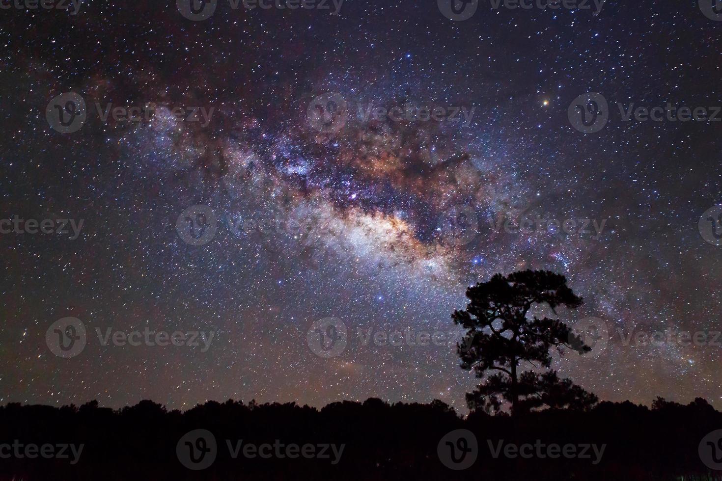 Silhouette des Baumes und der Milchstraße. Langzeitbelichtung Foto. foto