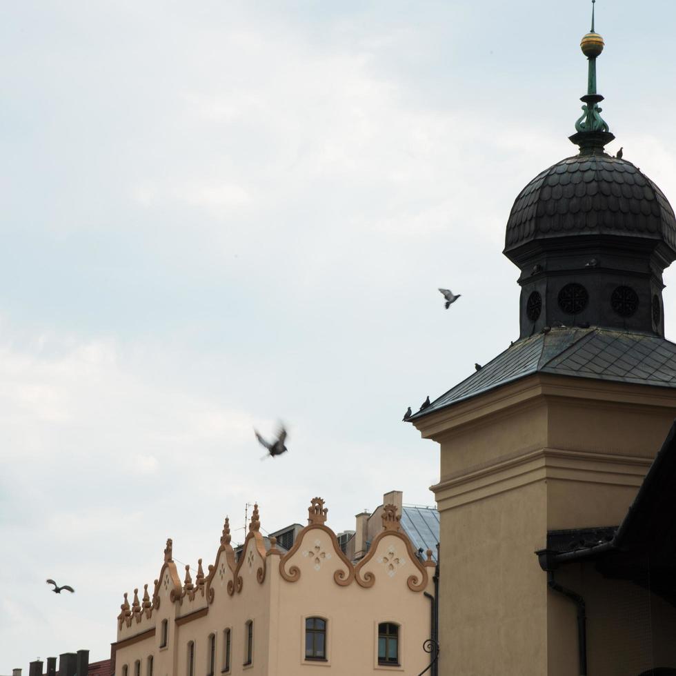 Luftaufnahme der Dächer in Krakau. Vögel fliegen foto