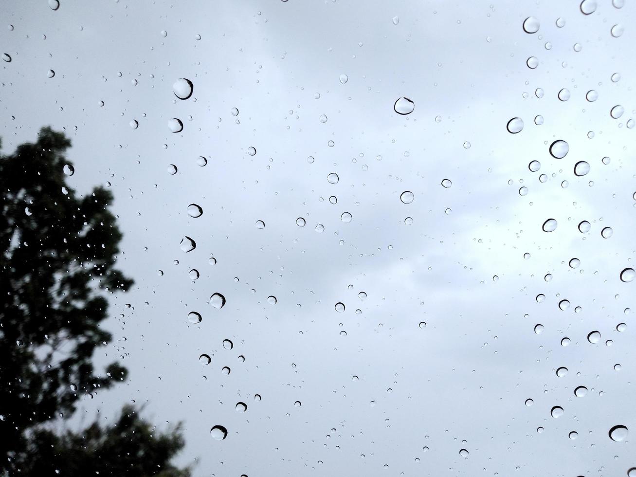 der Nieselregen benetzte das Glas, ein Windstoß fegte durch die Bäume, bis es bebte. bei schlechtem Wetter ein Gewitter foto