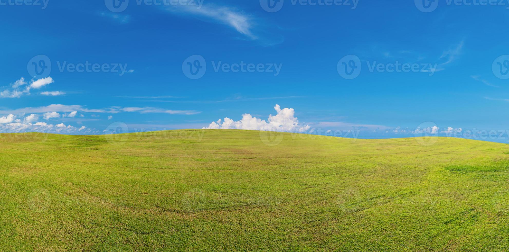 Panorama grünes Gras auf dem Golfplatz foto