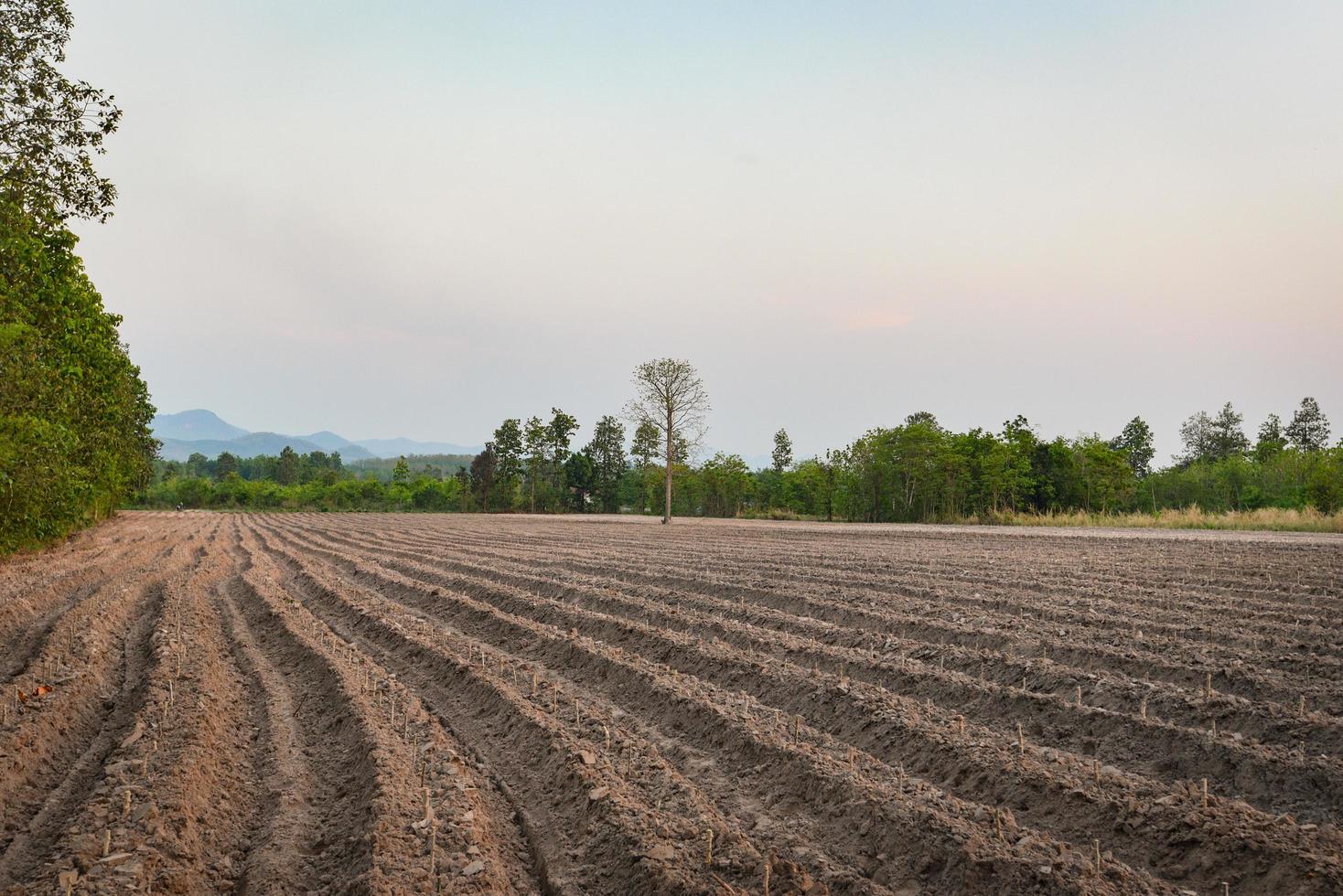 Landwirtschaft Pflug Bereiten Sie den Boden vor, um mit der Bepflanzung von Ackerland mit Maniokfeldern zu beginnen foto