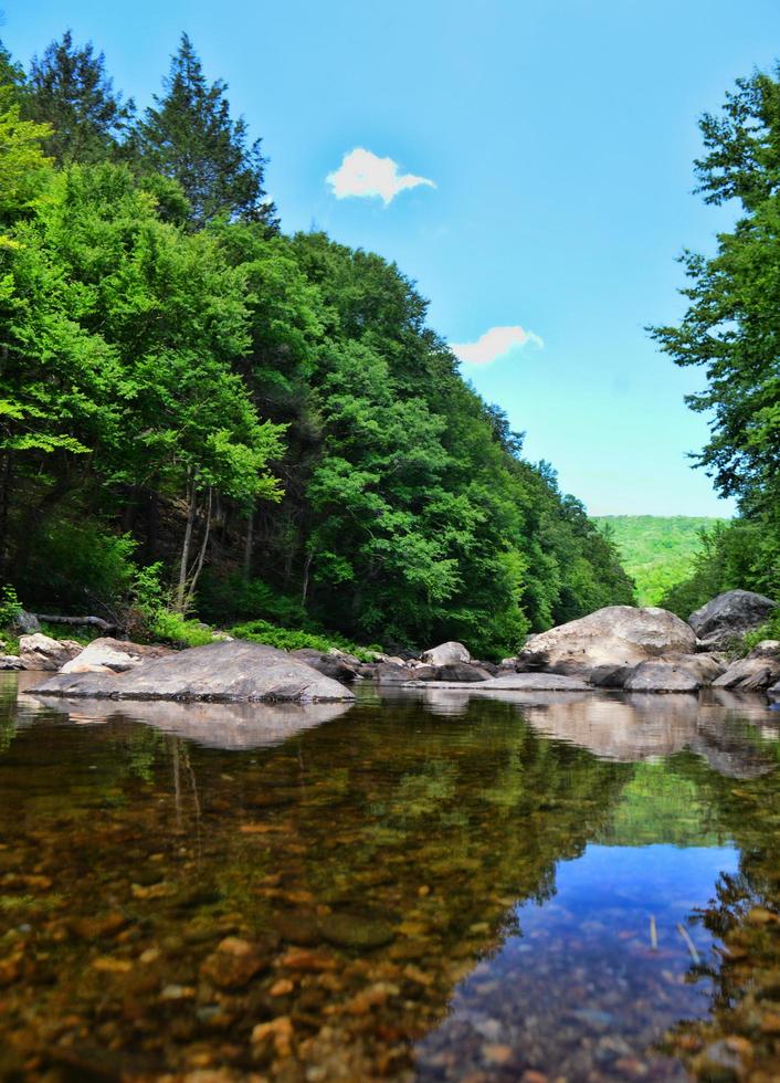 Jamaika State Park, Jamaika, Vermont foto