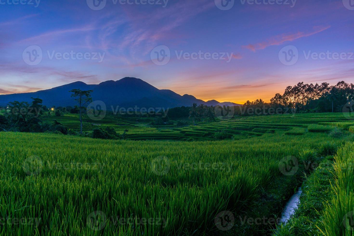 Panorama der natürlichen Schönheit Asiens. weite Sicht auf grüne Reisfelder mit fließendem Wasser foto