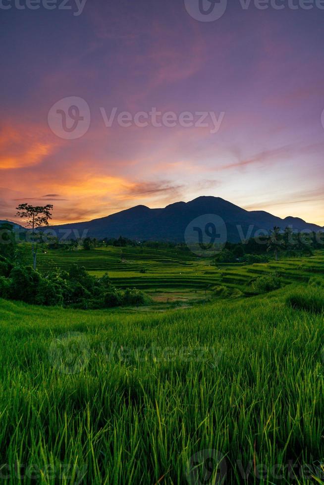 Panorama der natürlichen Schönheit Asiens. schöne Aussicht auf die Reisfelder bei Sonnenaufgang foto
