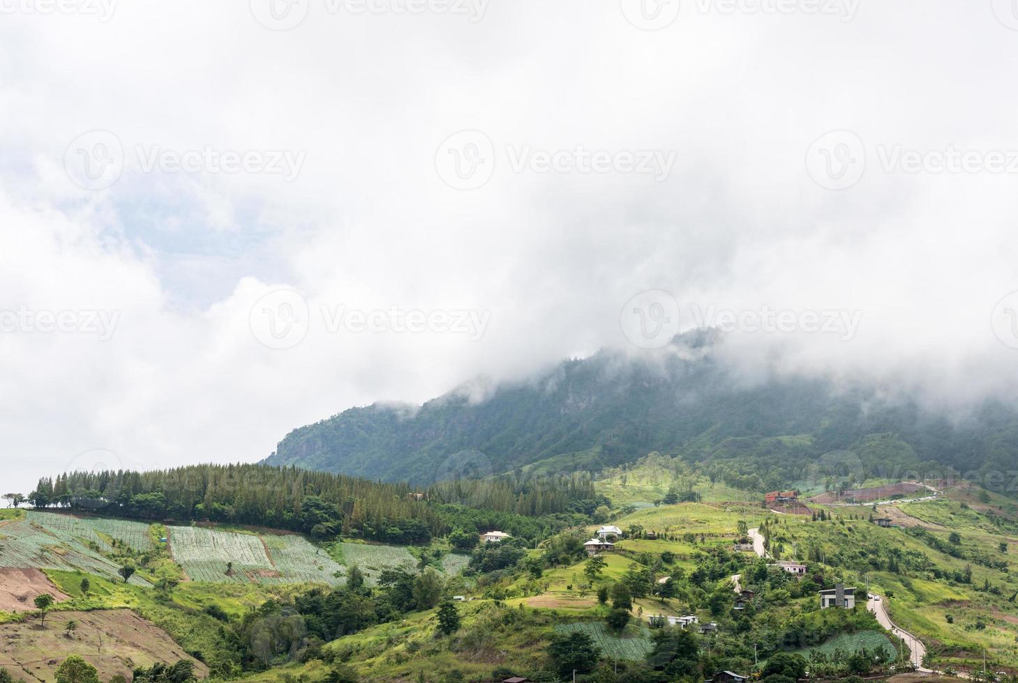 Regennebel über dem hohen Berg. foto