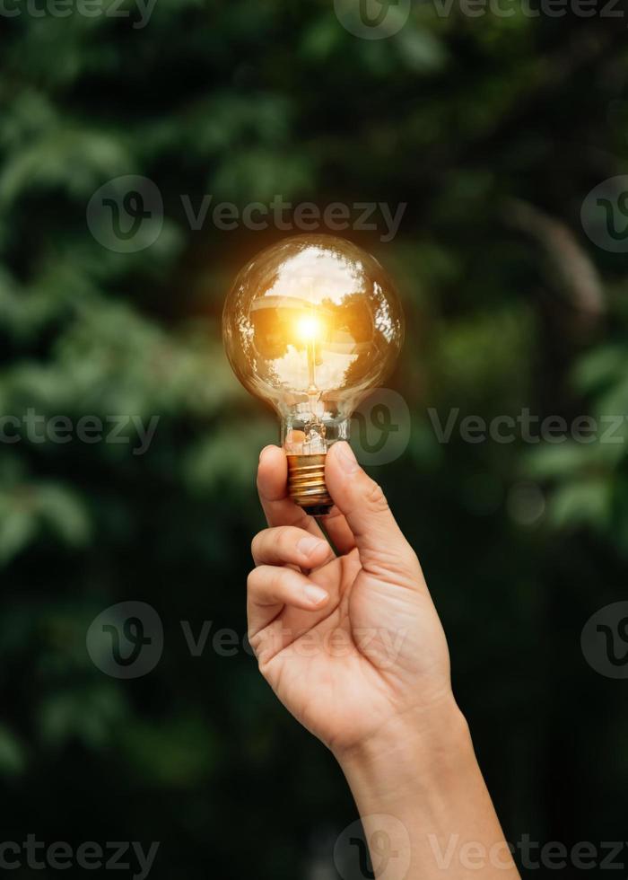 Mannhand, die Glühbirne mit grünem Hintergrund hält. Idee Solarenergie im Naturkonzept foto