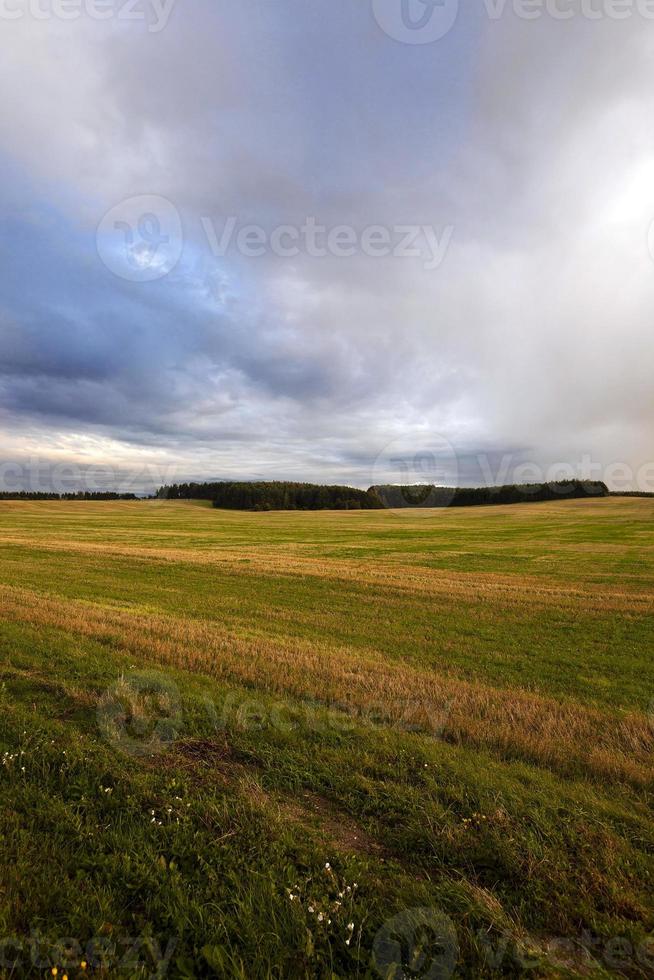 landwirtschaftlicher Bereich. Sonnenuntergang foto