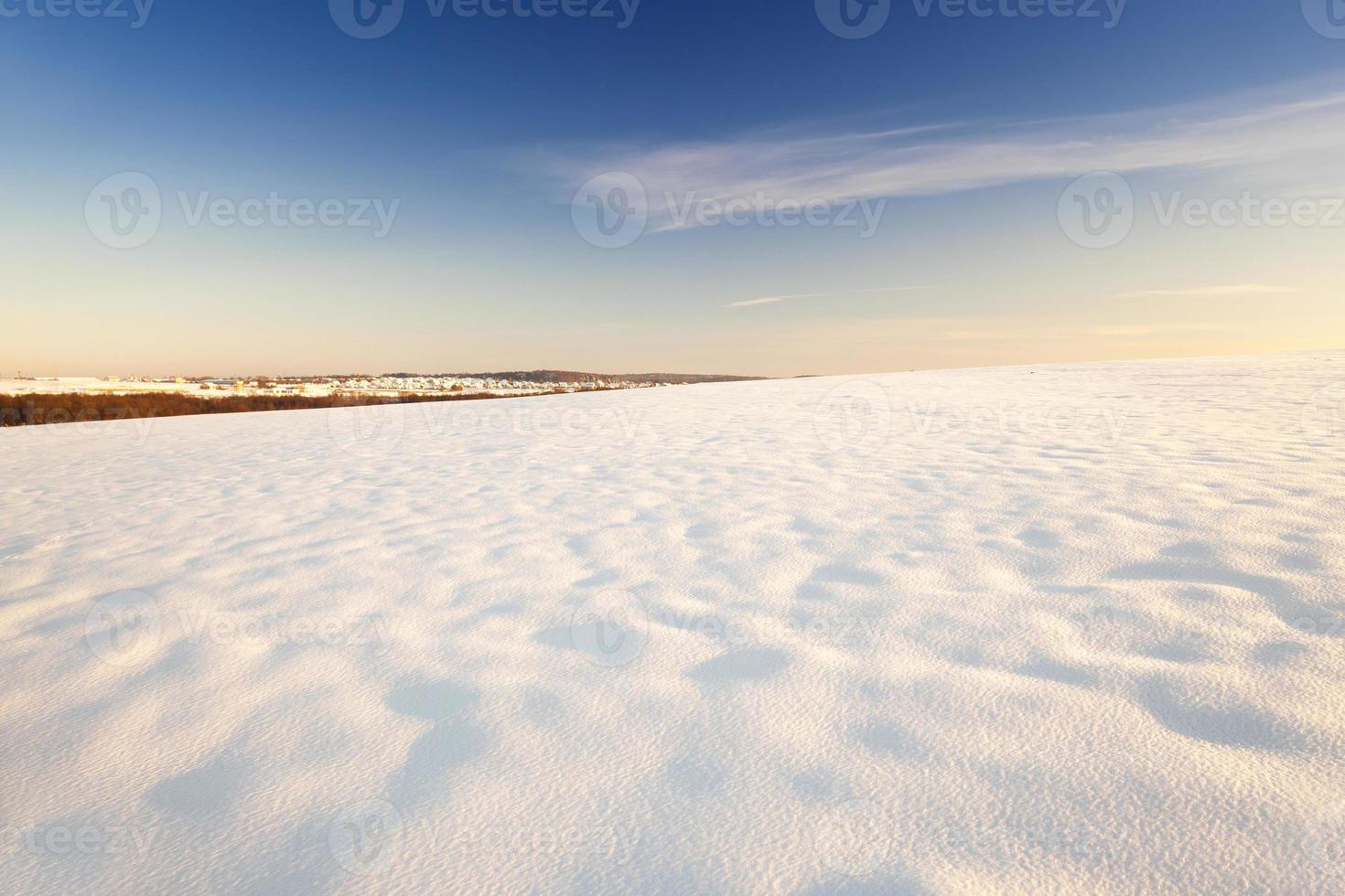 das Feld mit Schnee bedeckt foto