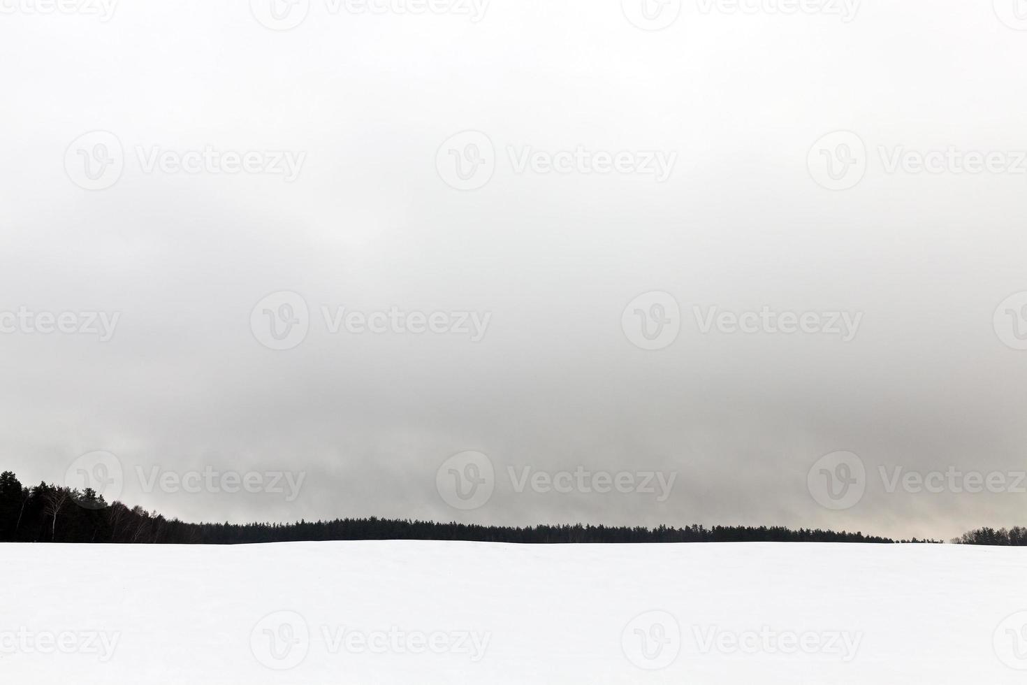 Nebel im Winter foto