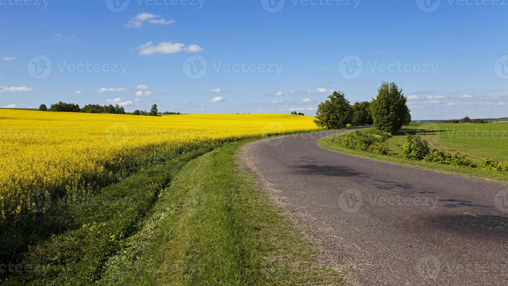 die asphaltierte Straße - die kleine asphaltierte Straße, die sich in den ländlichen Gebieten befindet. Weißrussland foto