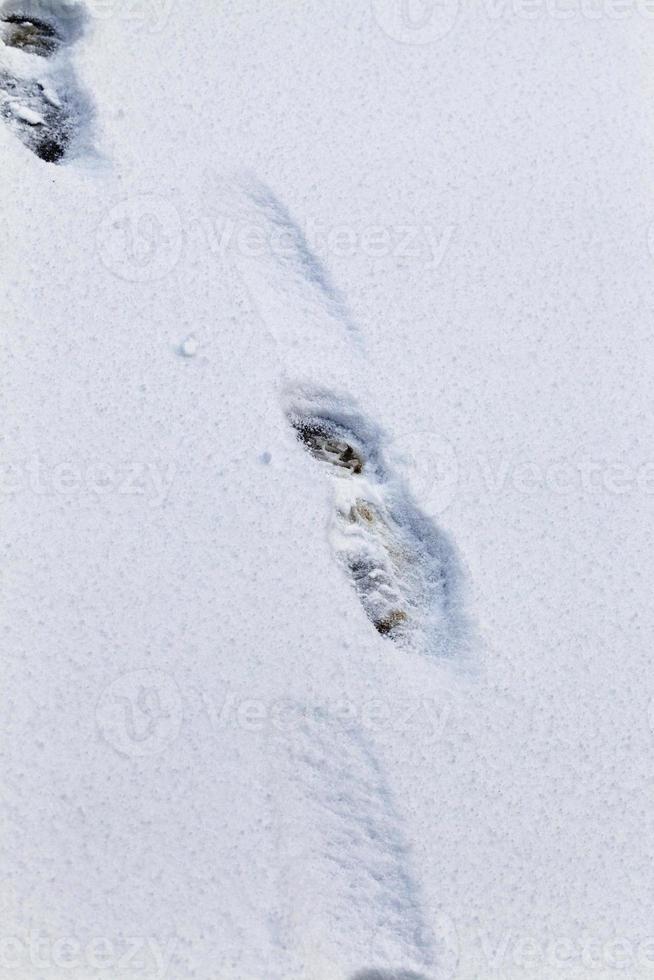 menschliche Fußspuren im Schnee foto