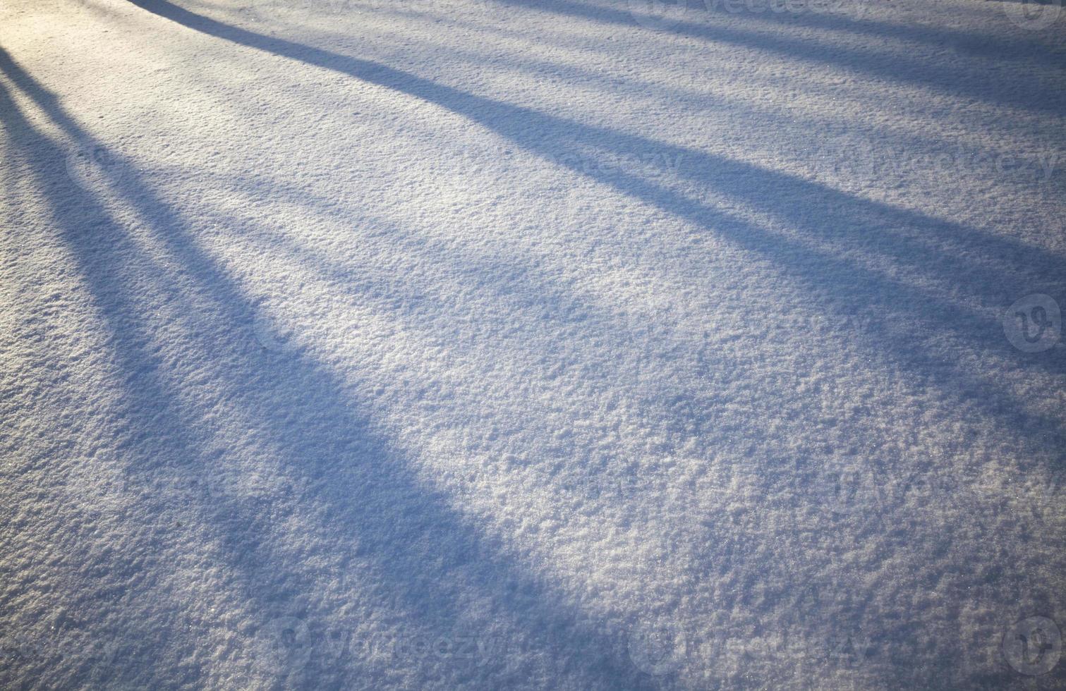 Schatten auf welligen Schneeverwehungen foto