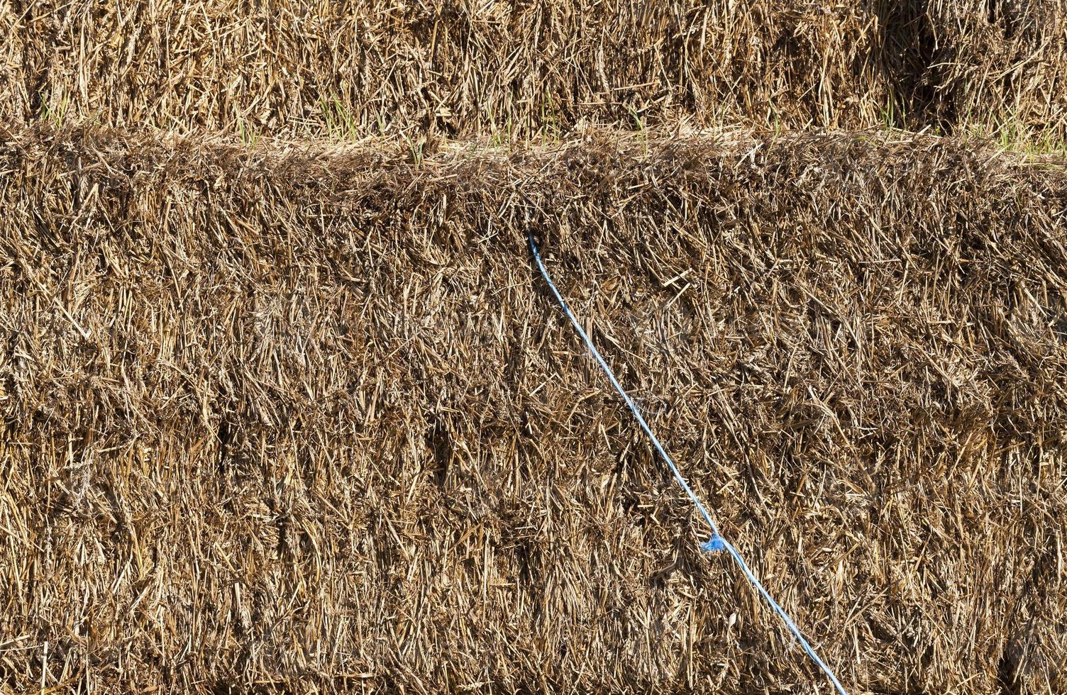 Heuhaufen, Nahaufnahme foto