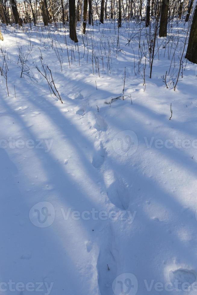 Schneeverwehungen nach Schneefall im Winter foto