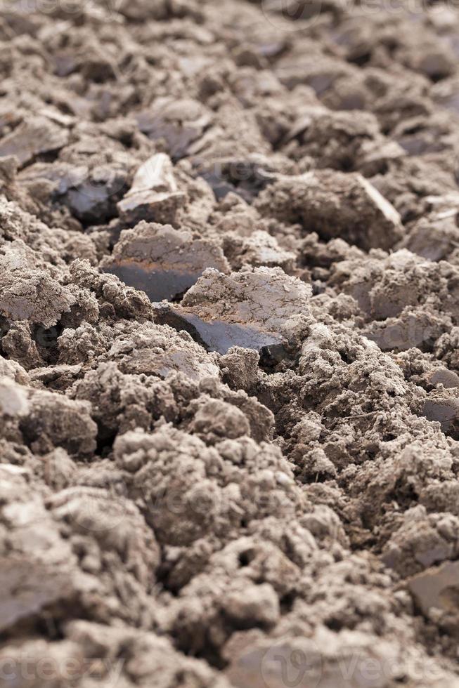 gepflügtes landwirtschaftliches Feld foto