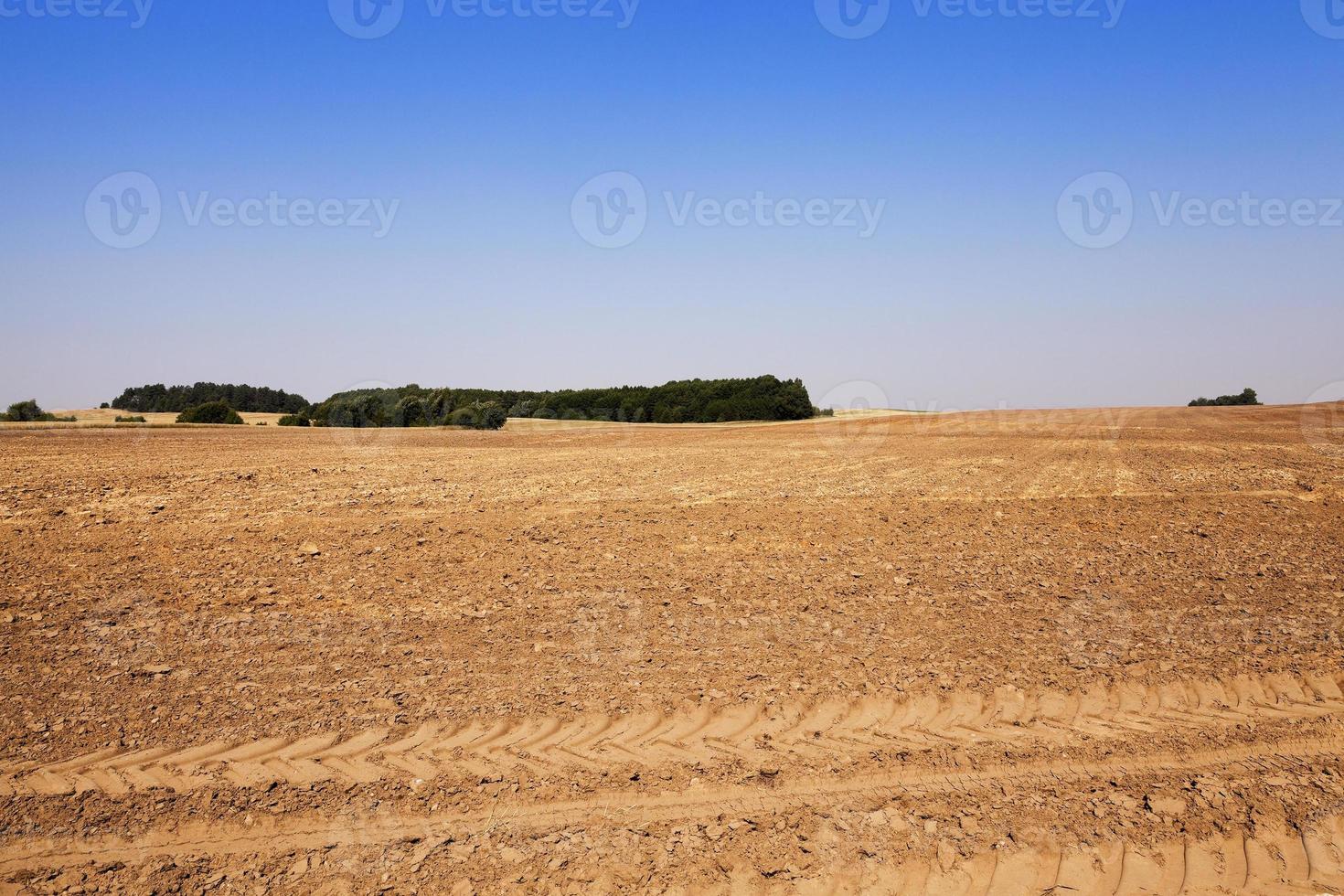 gepflügtes landwirtschaftliches Feld foto