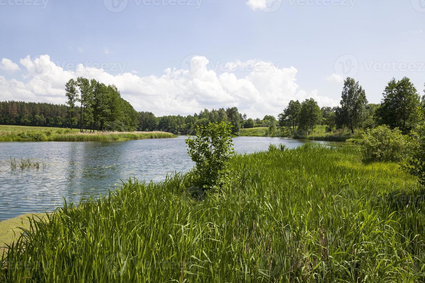 schmutziges Wasser in einem See oder Fluss foto