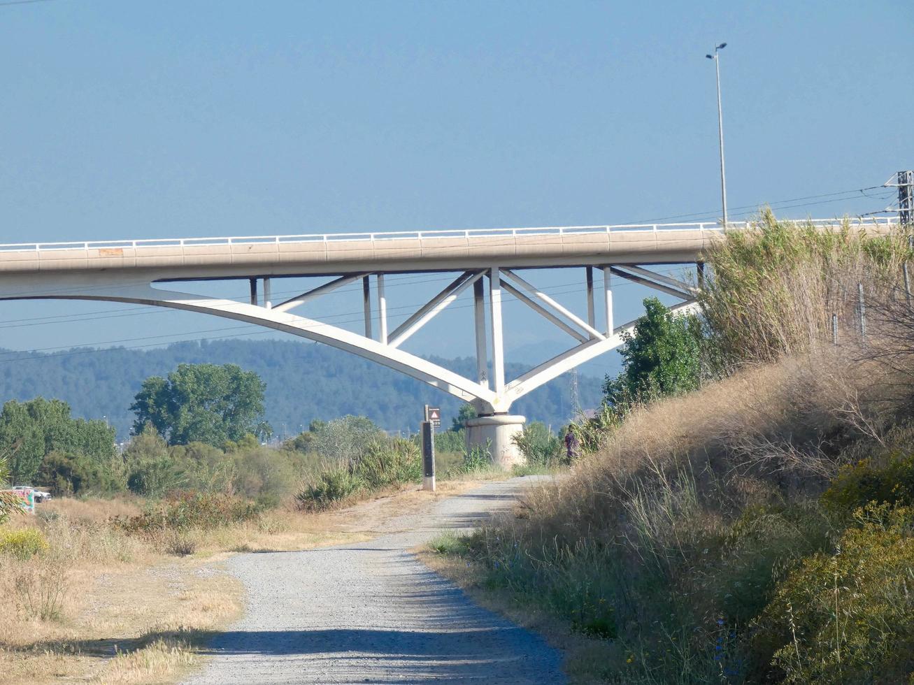 Einsamer Feldweg mit trockener Vegetation an den Seiten foto