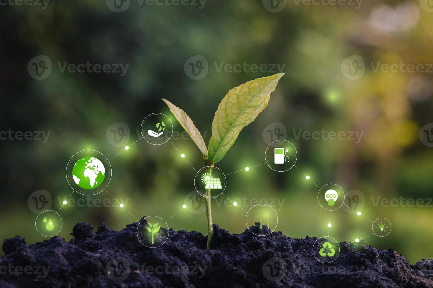 esg03junge Pflanze vor grüner Natur hinterlässt Hintergrund mit Symbolen Energiequellen für erneuerbare, Ökologie und Umweltkonzept foto