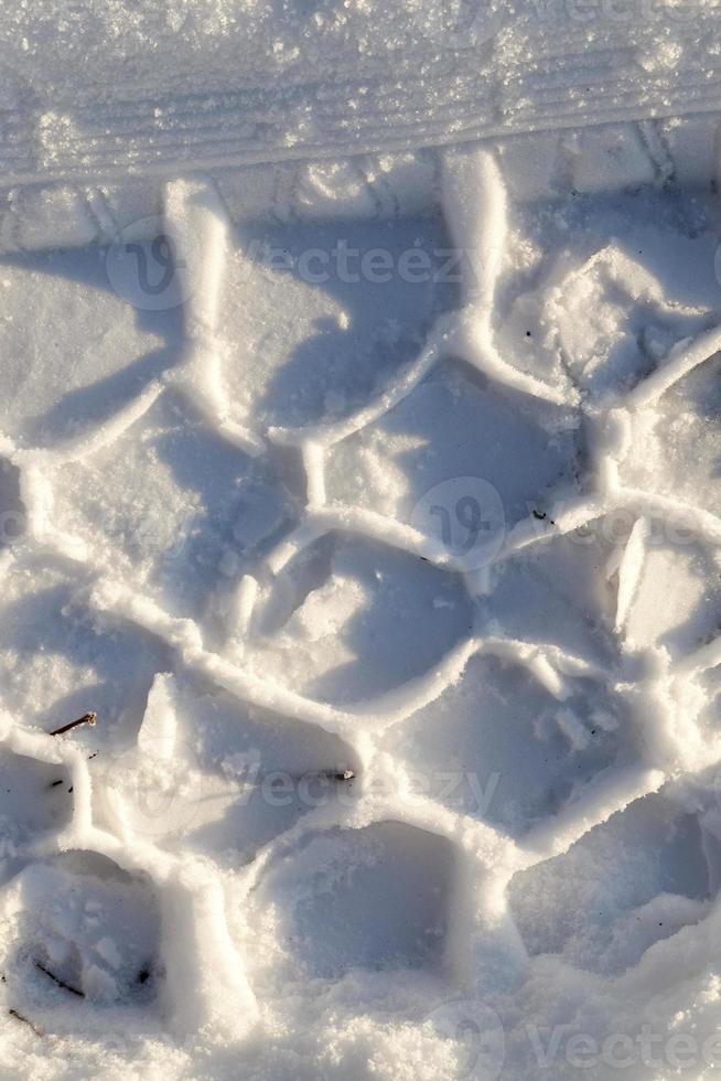 Zellen im Schnee foto