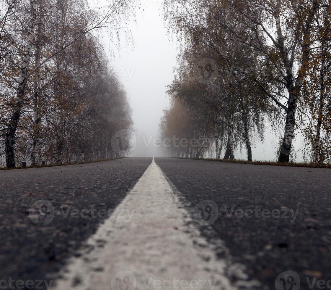 Asphaltstraße in den Nebel foto