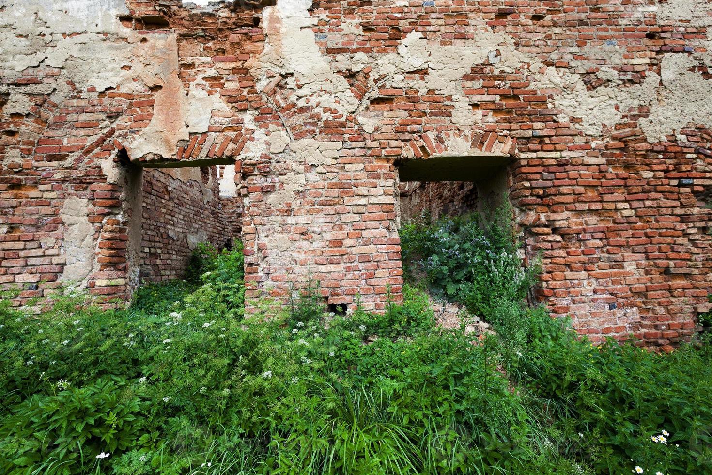 Ruinen aus Backstein foto