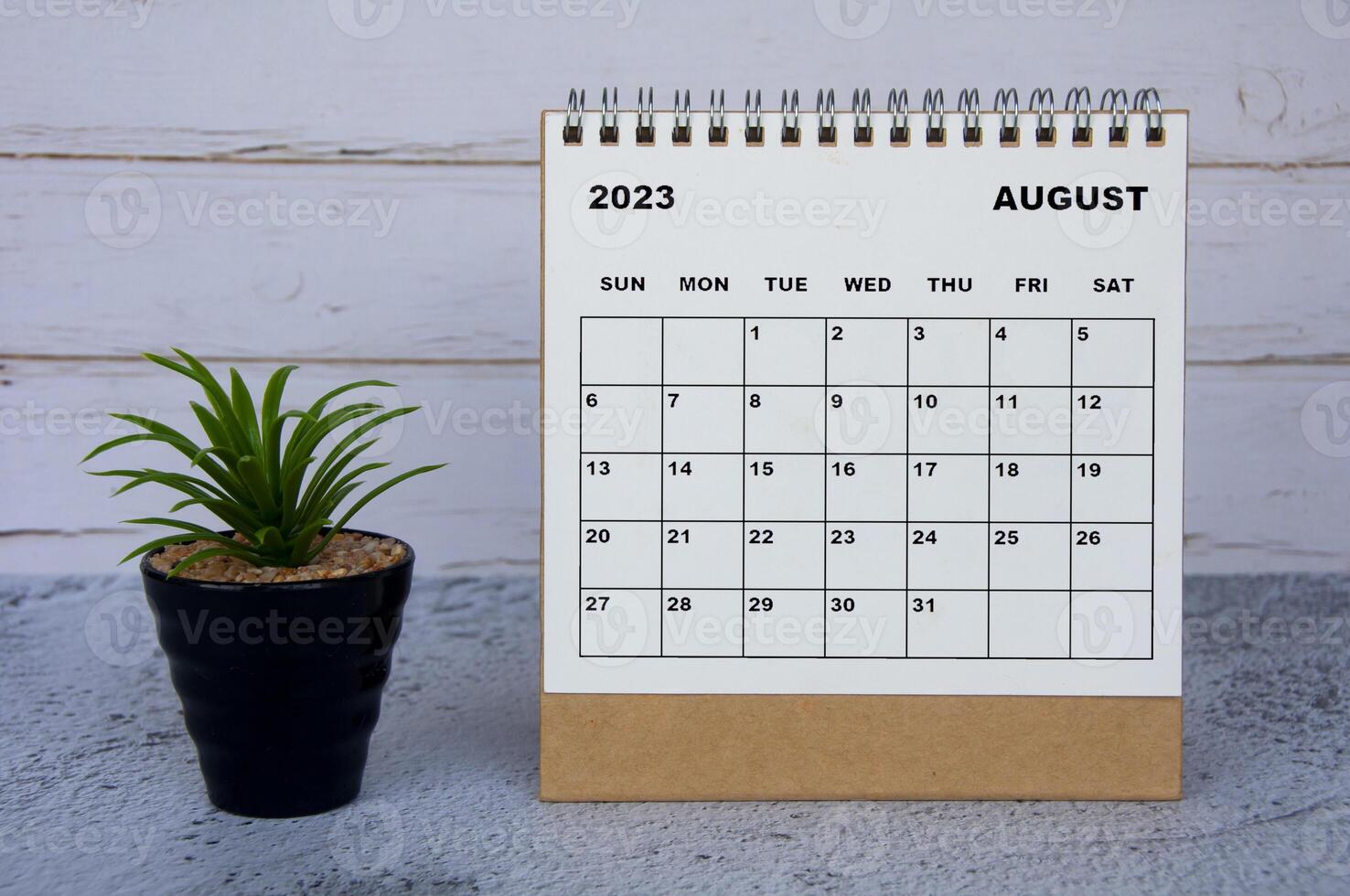 august 2023 tischkalender mit tischpflanze auf marmor- und holzhintergrund. foto