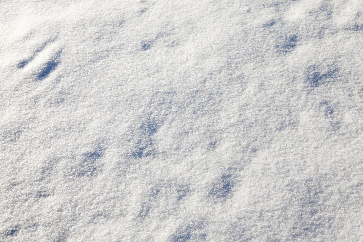 Schnee auf dem Boden foto