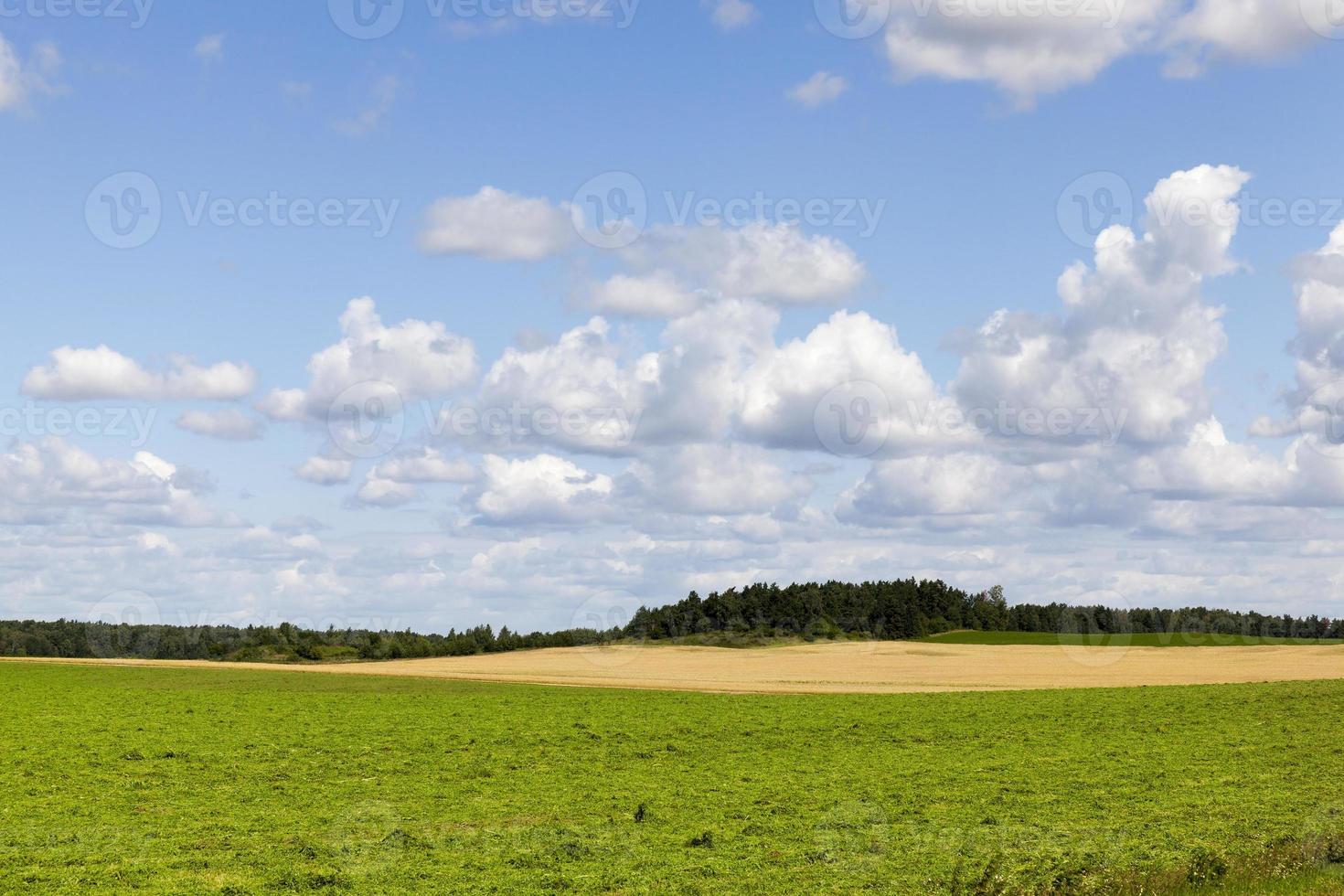 Graslandschaft, Landwirtschaft foto