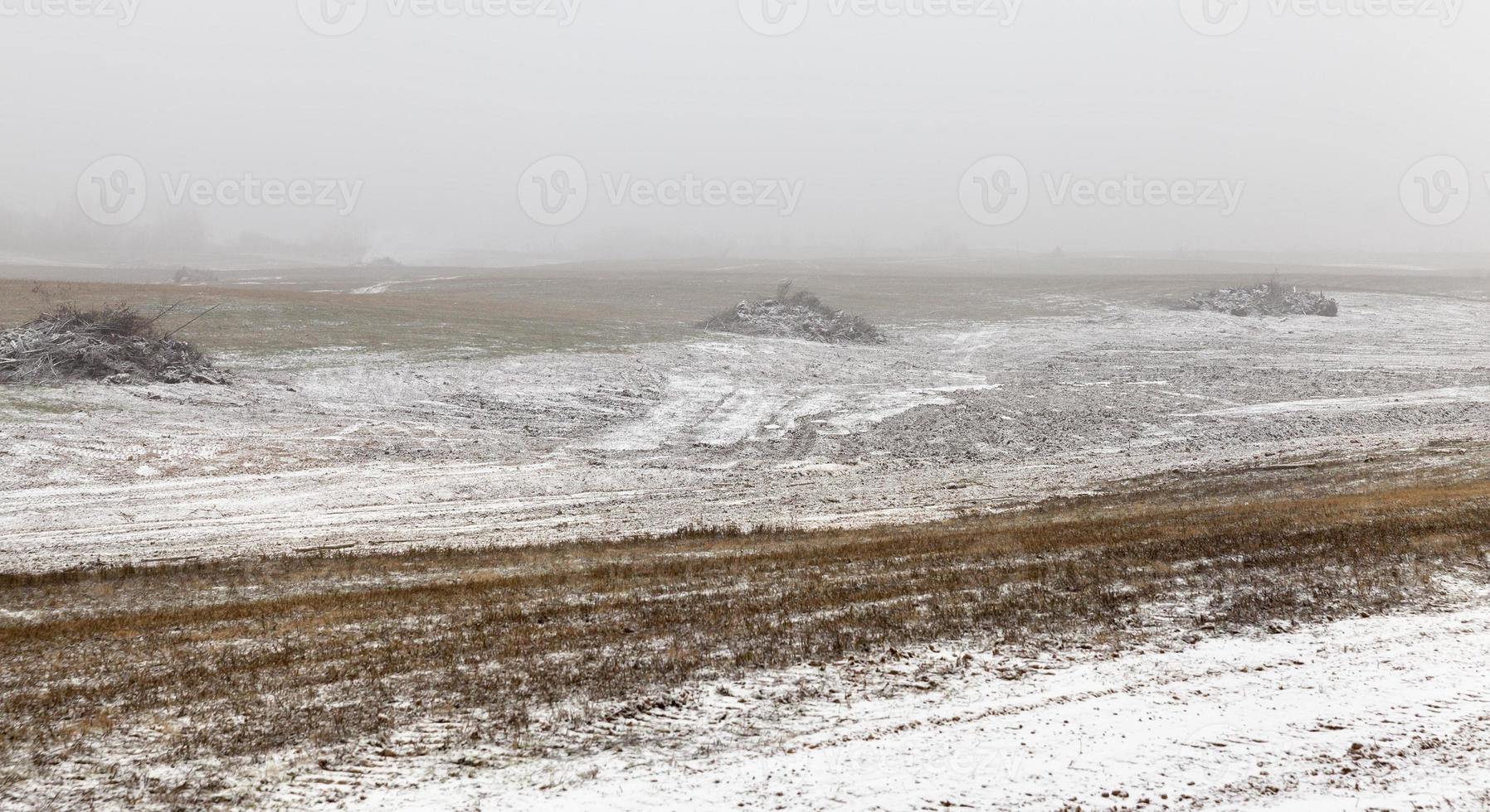 Morgenwetter, Feld foto