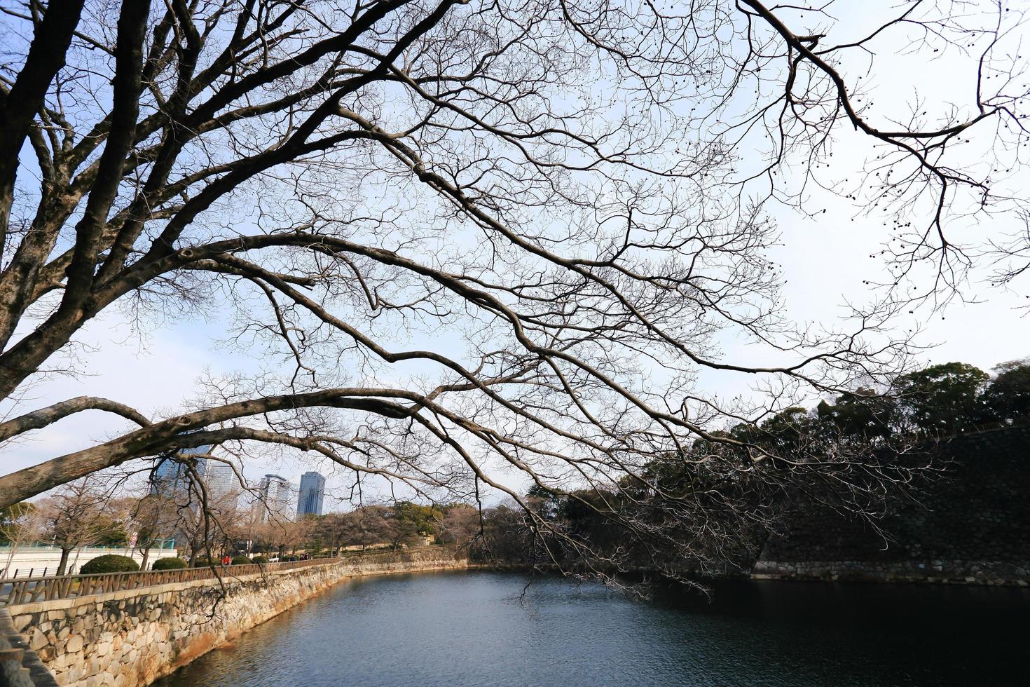 ein wassergraben, der die burg von osaka in japan, winter umgibt foto