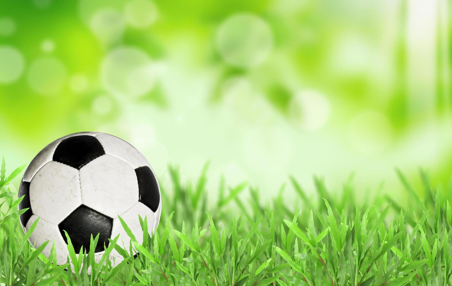 Fußball im grünen Gras foto