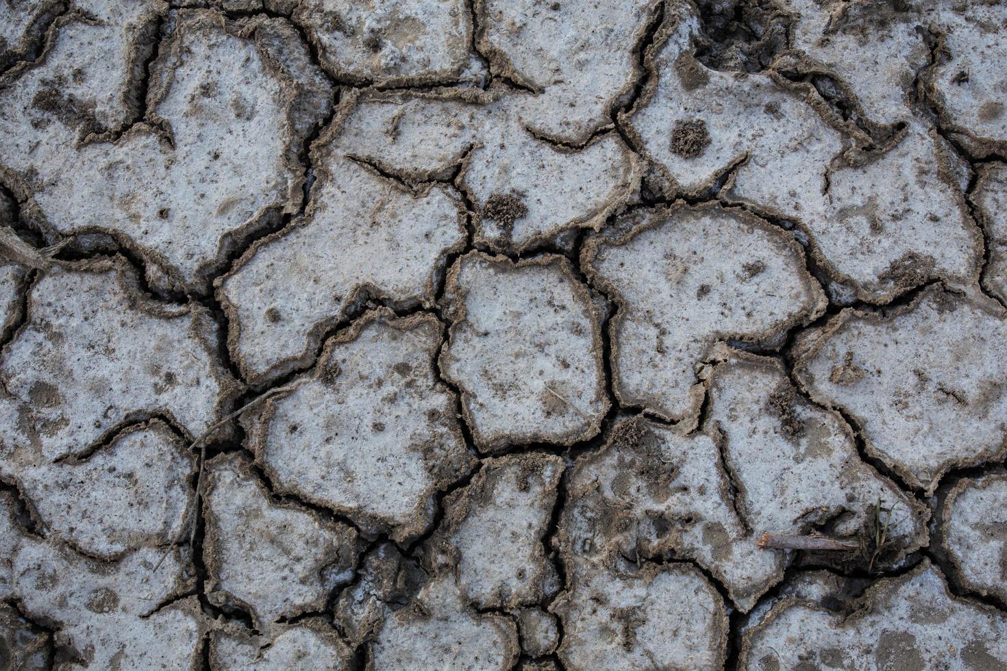 hintergrund von trockenem rissigem bodenschmutz oder erde während der dürre foto