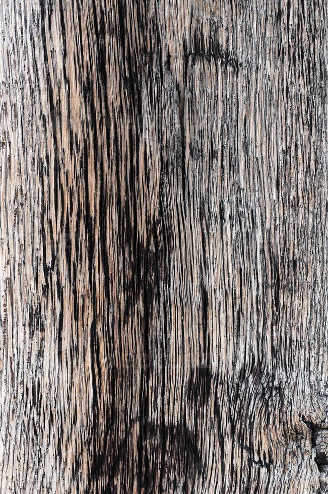 Holz Holz Detail Makro alte und getrocknete Hartholz Textur foto