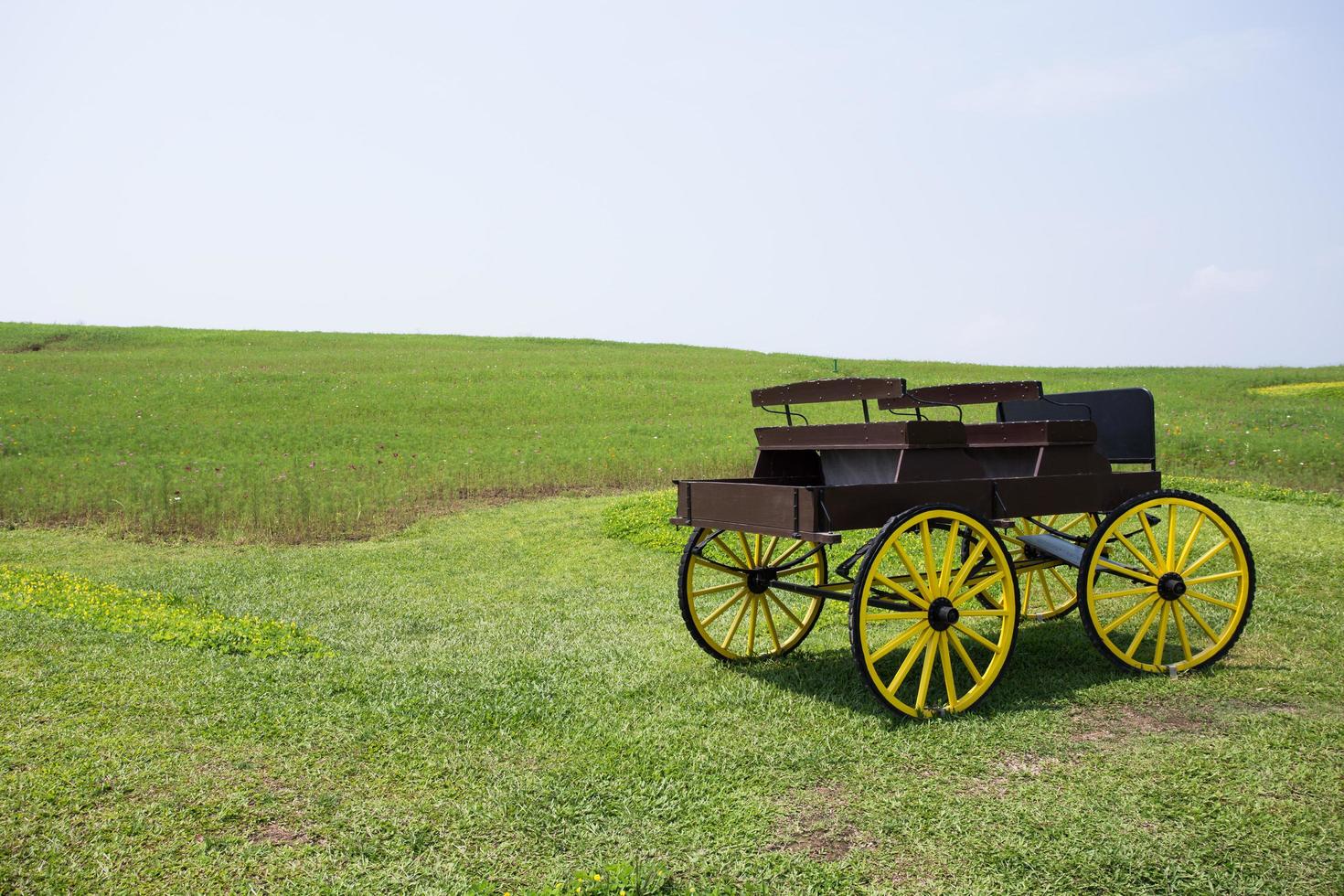 Wagen voller Kürbisse auf dem Bauernhof foto