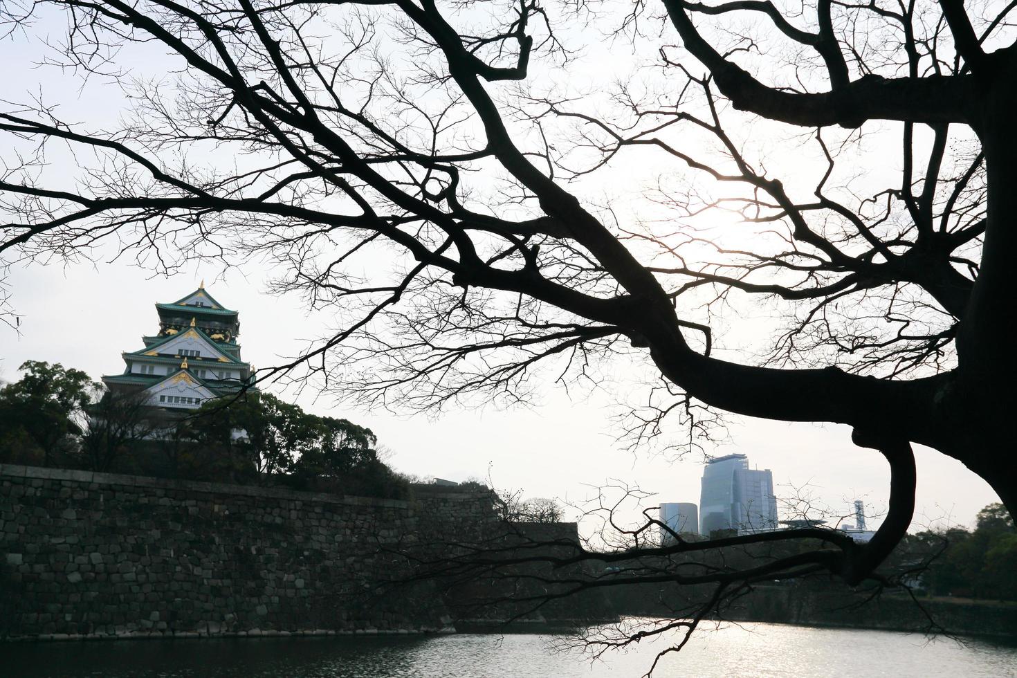 Burg von Osaka in Osaka, Japan foto