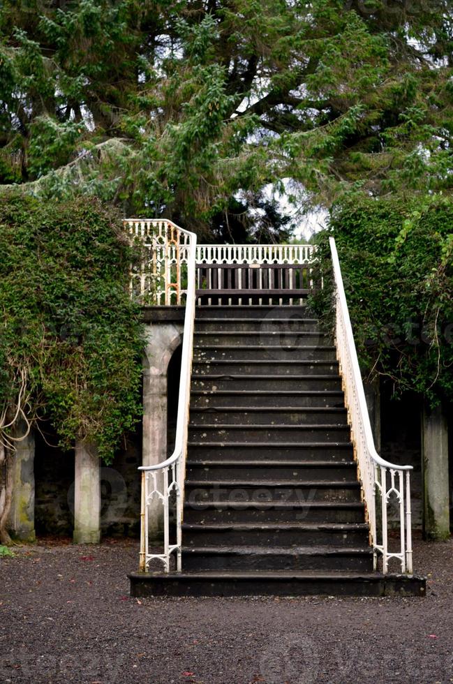 schöne treppe im garten in schottland foto