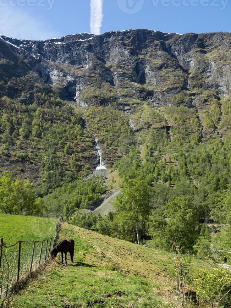 Flam und der Aurlandsfjord in Norwegen foto