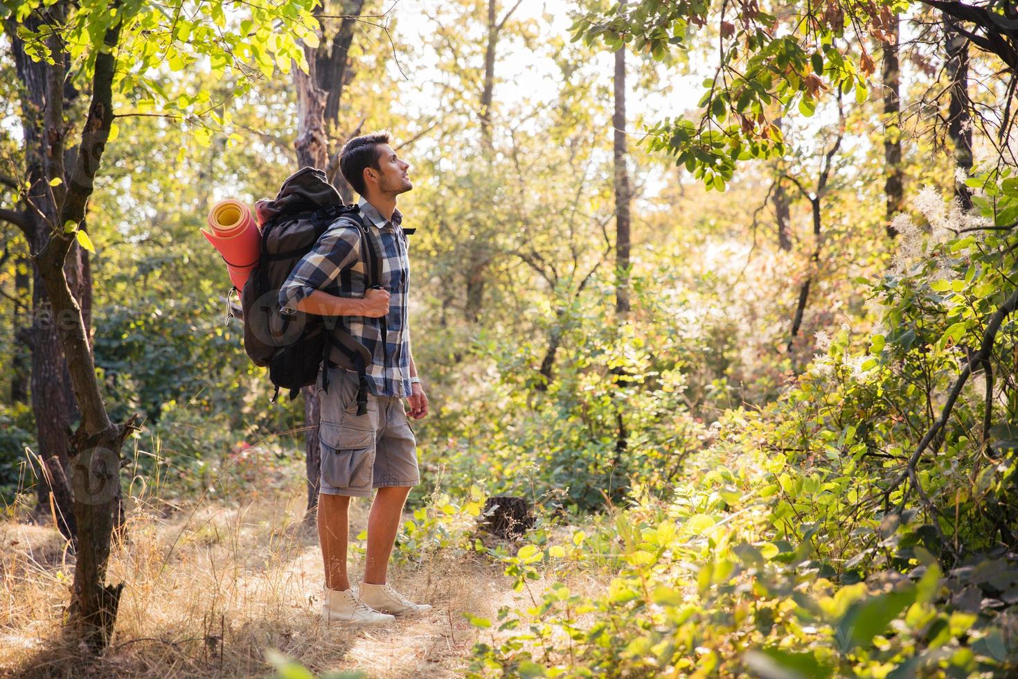 männlicher Wanderer, der im Wald geht foto