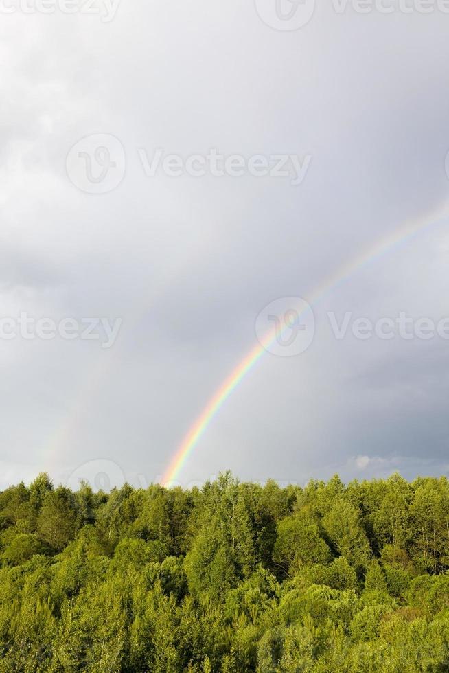 Regenbogen und Wald foto