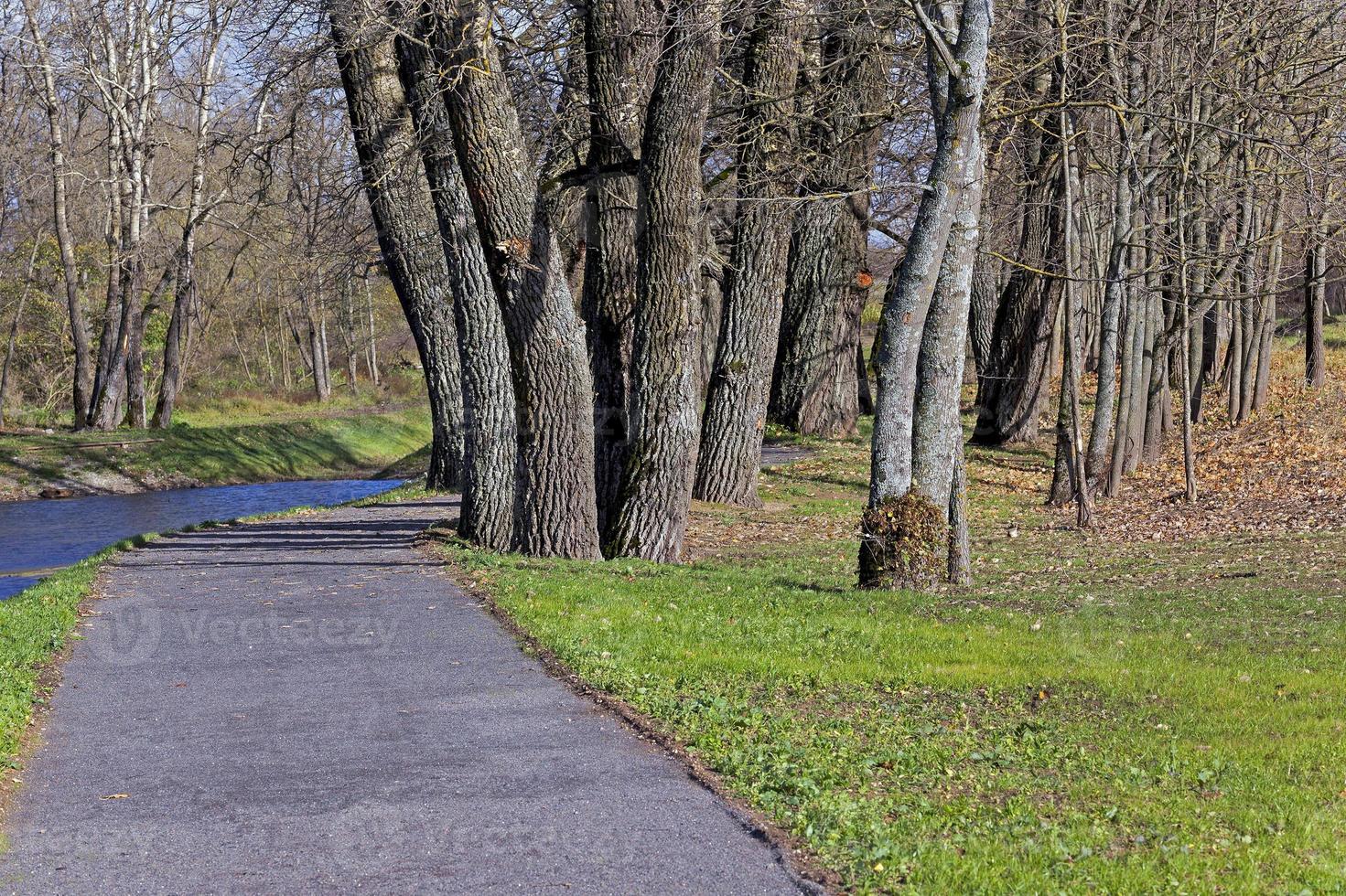 kleine asphaltierte Straße foto