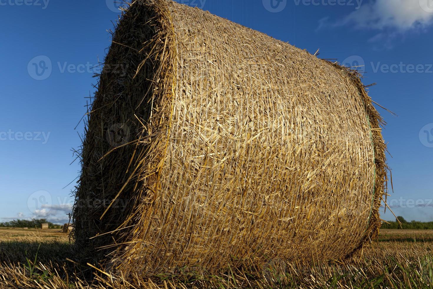 zylindrische Strohstapel foto