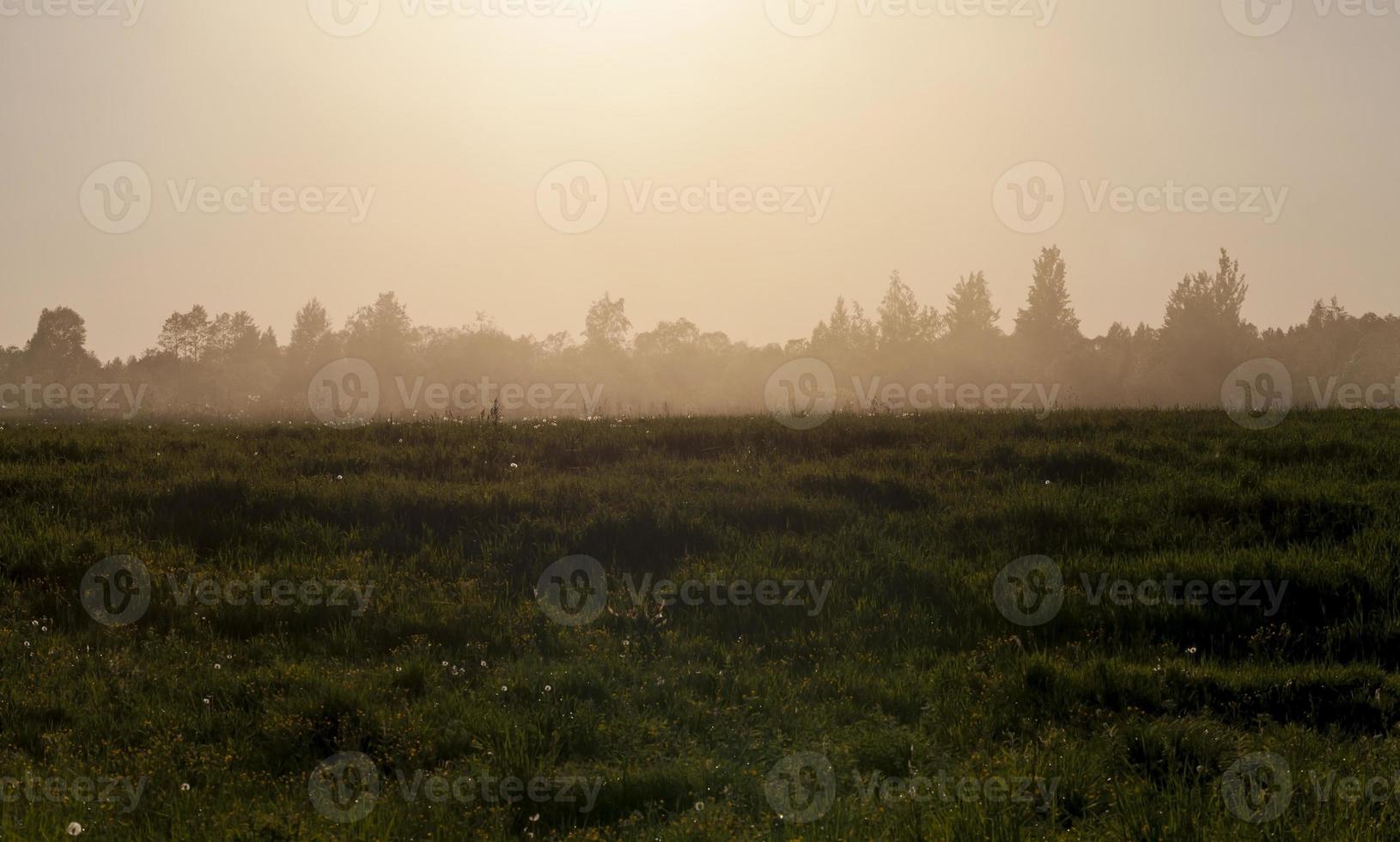 Landschaft mit Sonnenuntergang foto