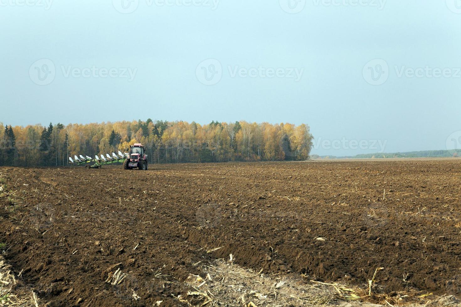landwirtschaftlich gepflügtes Feld foto