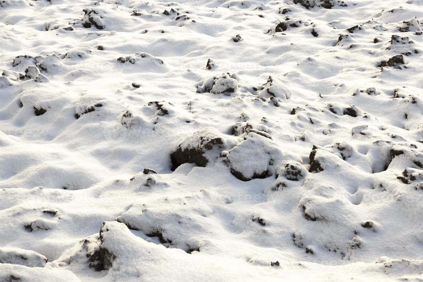 Land mit Schnee bedeckt, Nahaufnahme foto