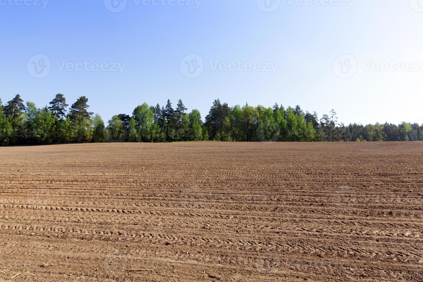 gepflügter Boden auf dem Feld foto