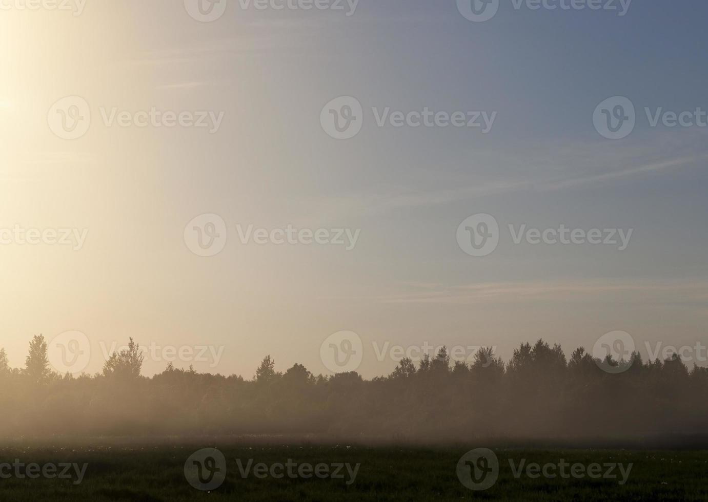 Landschaft mit Sonnenuntergang foto