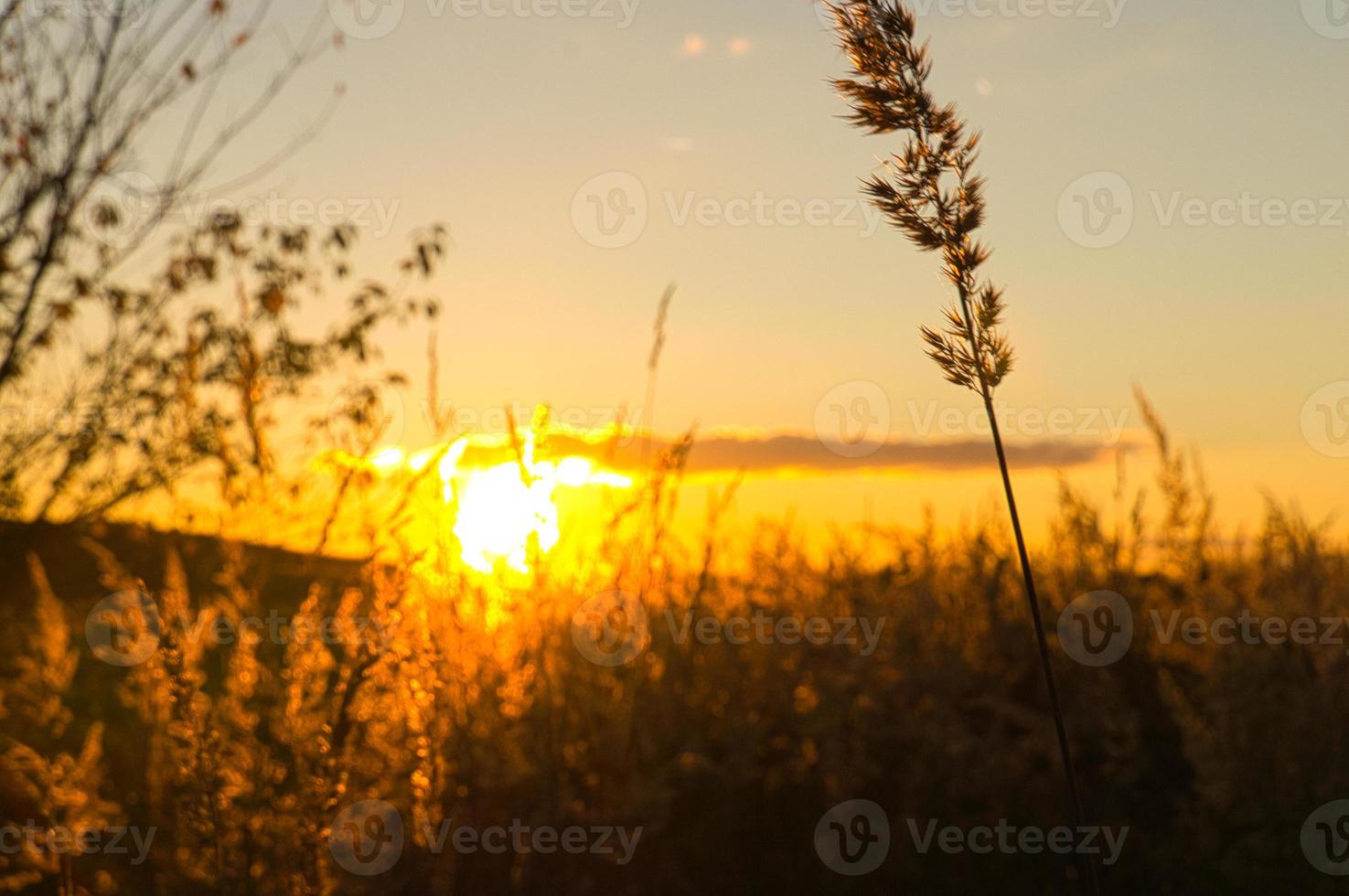 untergehende Sonne am Stadtrand von Berlin. der Himmel scheint zu brennen. foto