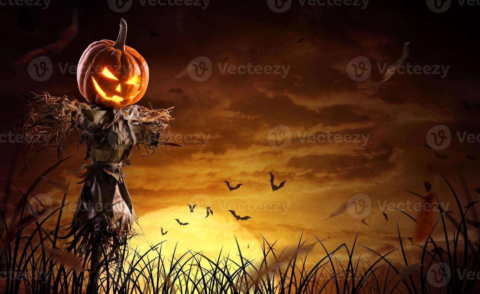 Halloween Kürbis Vogelscheuche auf einem weiten Feld mit dem Mond in einer beängstigenden Nacht foto