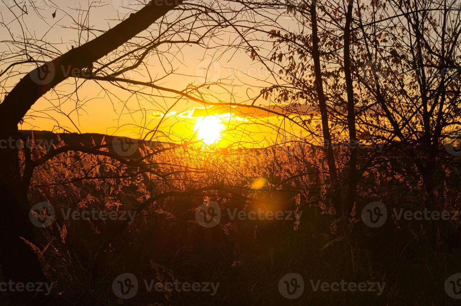 untergehende Sonne am Stadtrand von Berlin. der Himmel scheint zu brennen. foto